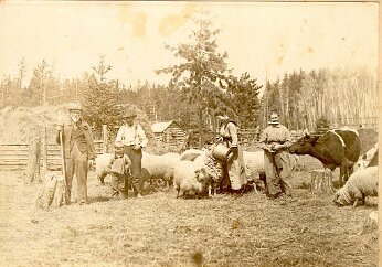 A-M-Anderson-108-FLE