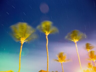 Hawaiian Dream Sequence