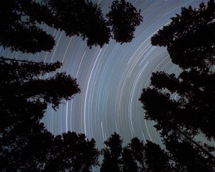 Four-Hour Lodgepoles While camping trips make great venues for photographing the sky, sometimes it is difficult to get a full view of it. But here is an opening in the canopy, the...