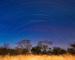 Serengetti Startrails, North A safari in Tanzania takes one just south of the Earth’s equator. Here there is no visible North Star; it resides just below the horizon, obscured by the acacia...