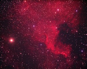 North American Nebula In the constellation Cygnus, (the Swan) is a large complex of glowing gas nebulas, and this portion has a shape suggestive of a familiar continent. The strong...