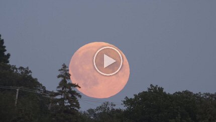 2015-Lunar Eclipse Timelapse of the 