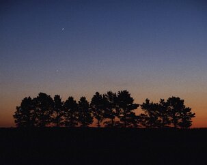 Planetrise The subtle details of the night sky fade away with the dawn, but the brightest remain: the planets Jupiter and Saturn rise above a windbreak on a prairie farm....