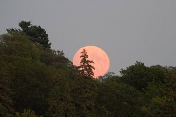 Super Blood Moonrise A “blood moon” is the name given to a total lunar eclipse, due to its reddish color when in the Earth’s shadow. The title “supermoon” is given to a full moon...