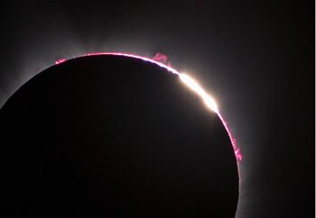 Prominences During the Great American Eclipse, the moon covered the brilliance of the sun’s photosphere, revealing the activity occurring at its surface. Deep red flares of...