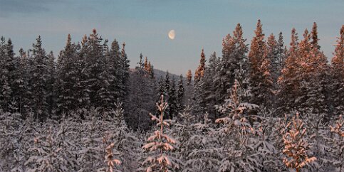 Arctic Moon A few days from the winter solstice, at the arctic circle, the moon sets at noon. The sun, hugging the opposite horizon is also about to set, casting its red...