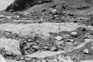 19700800-GrinnellGlacierHike-8 Stromatolytes, fossils of ancient algae colonies.