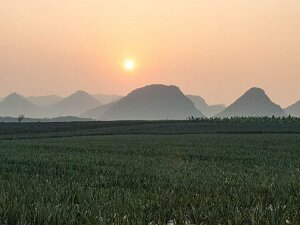 Vietnam-2020