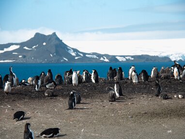 2026-01-31 Barrientos Island