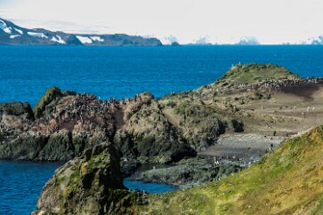 IMG_2104 A view of the island colony.