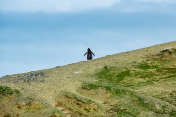 IMG_2114 Is it greener?