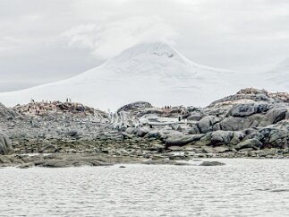 IMG_8777 The remnants of a whale.