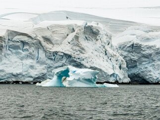IMG_8788 We investigate an ice sculpture.