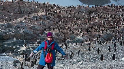 Poldi with Penguins Poldi walks like a penguin at this colony of Gentoos.