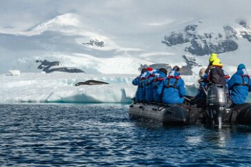 IMG_2396 A Zodiac approaches wildlife. Leopard seals have been known to bite and puncture Zodiac pontoons!.