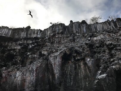 IMG_6720 We awake in the perfectly circular Darwins Bay, the remnant of the volcano. A frigate bird flies near the rim of the crater wall.