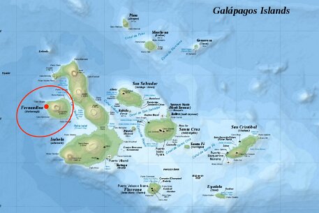 Galapagos Fernandina Fernandina, the youngest of the islands, less than a million years old.