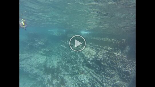 GOPR0070