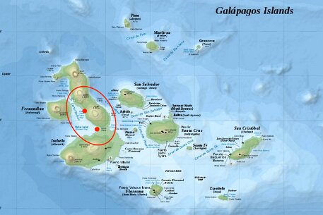 Galapagos Isabella Isabella, the largest, 