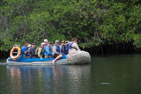_MG_1382 We visit a mangrove swamp this morning.