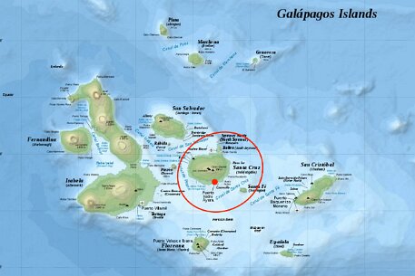 Galapagos Santa Cruz2 Return to Santa Cruz, this time to the southern town of Puerto Ayora.