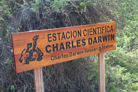 _MG_1561 This is the home of the Charles Darwin Research Station.