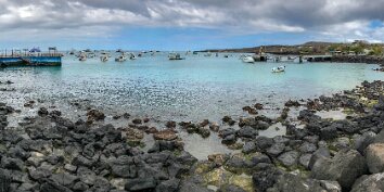 IMG_6935 A wide view of the bay at Puerto Ayora, Santa Cruz. When we arrive at San Cristobal, we will be dropped off at the airport to start our way home.