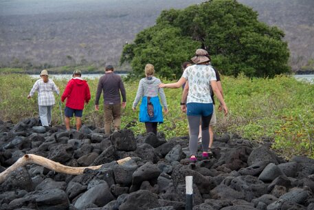 _MG_1622 The lava rock path on tiny Wolf Island.