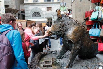 _MG_8006 The Porcellino lucky fountain. Touch the nose for good luck.