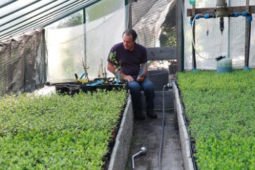 _MG_8587 Paolo in one of his many greenhouses.