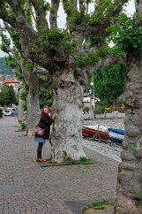_MG_9072 Lungo Lago along the lake
