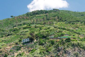 Liguria-CinqueTerre-115