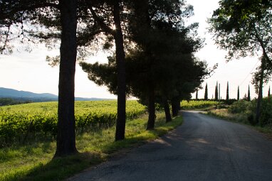 Tuscany-Siena