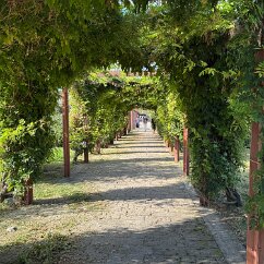 IMG_7288 The lush walkway at the surface level approaching the site.