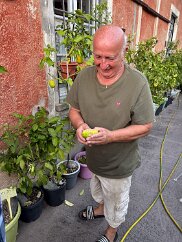 IMG_6658 Mario shows us a fruit from his orangerie.
