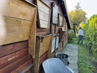 IMG_7860 More washboards.