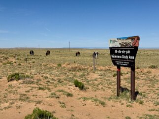 IMG_5841 Ah-shi-sle-pah Wilderness Study Area