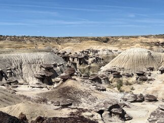 IMG_7598 Chocolate Mushroom Hoodoos