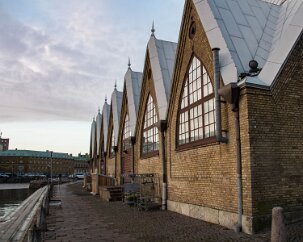 _MG_4300