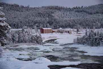 _MG_4462