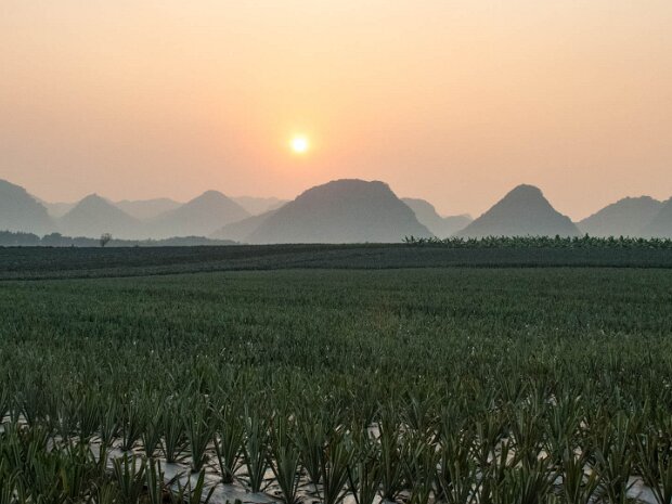 Vietnam-2020